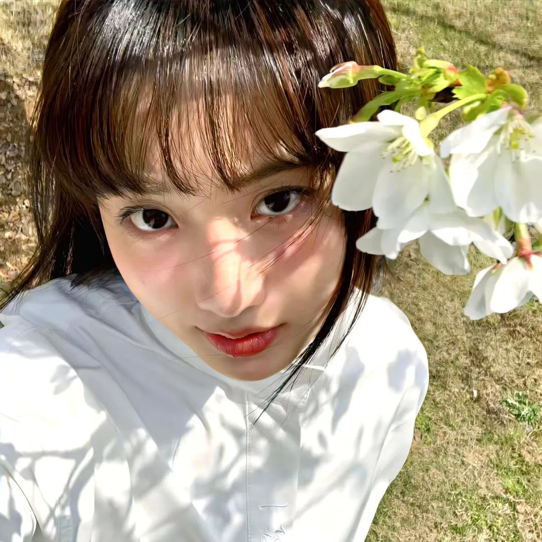 房子里的恶魔 海报