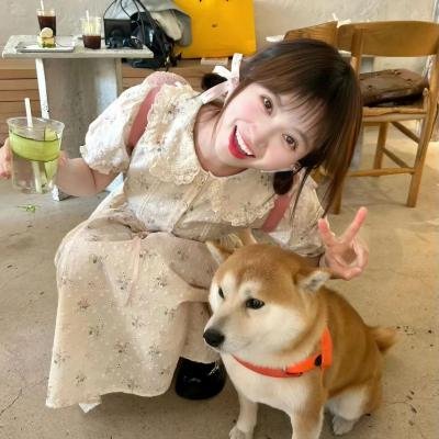 遇见你时风很甜 海报